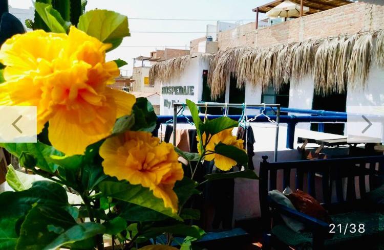 Surf Hostel My Friends Huanchaco Εξωτερικό φωτογραφία